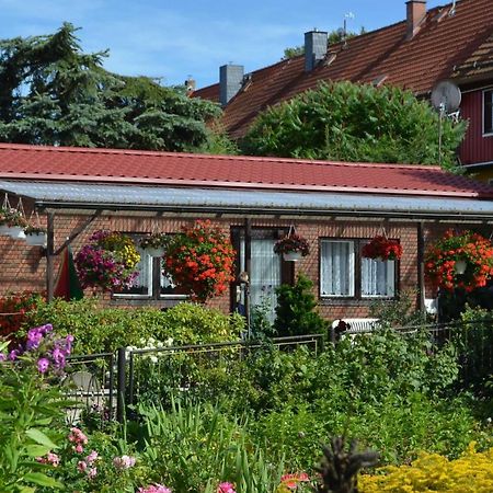 Bungalow Weidling Hasselfelde Eksteriør bilde