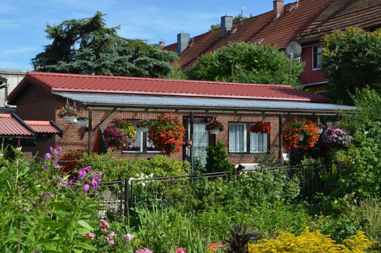 Bungalow Weidling Hasselfelde Eksteriør bilde